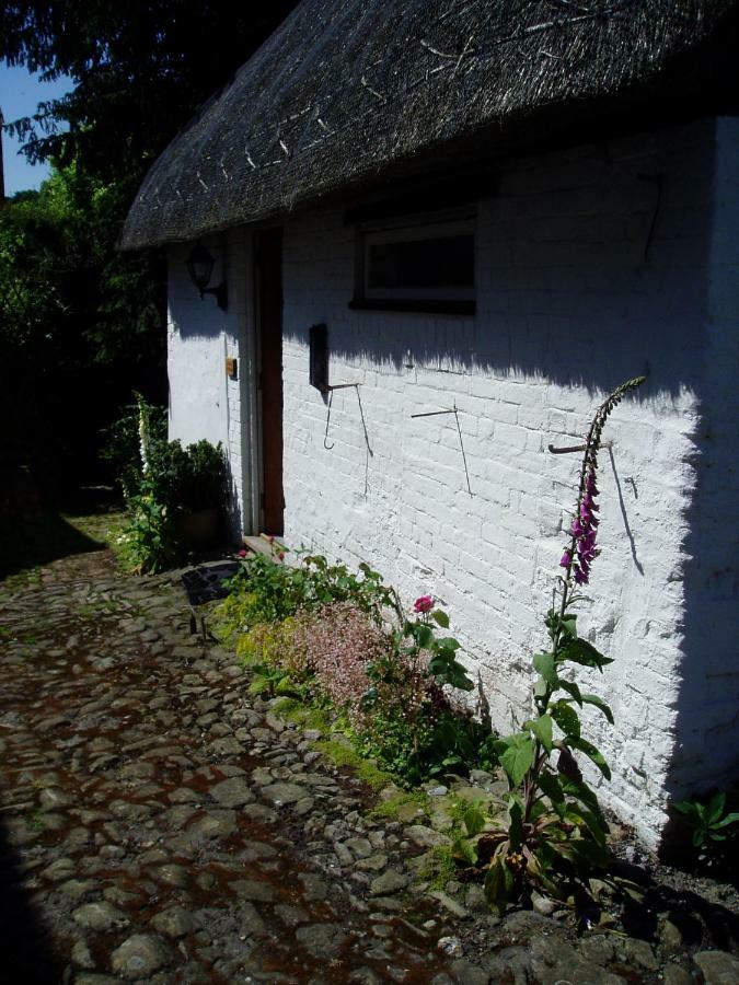 Stable Cottage Devizes Ngoại thất bức ảnh
